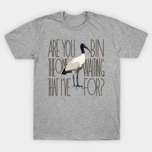 Are You The One That I’ve Bin Waiting For? (bin chicken, ibis) T-Shirt